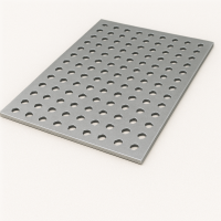 Лист перфорированный стальной Rg 5.0-12.0 1х1000х2000 мм 08пс ГОСТ Р 58602-2019